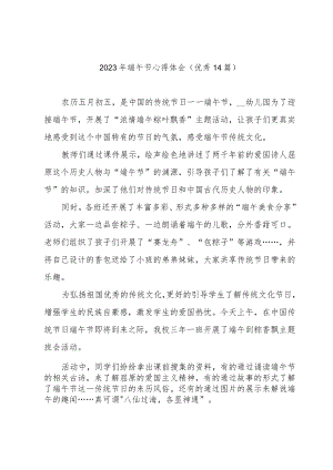 2023年端午节心得体会(优秀14篇).docx