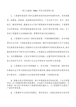 聚己内酰胺（PA6）项目运营管理方案.docx