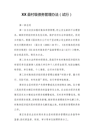 XX县村级债务管理办法.docx