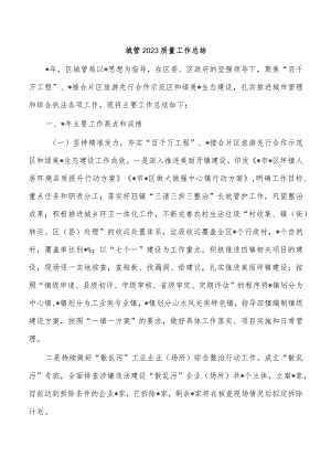 城管2023质量工作总结.docx