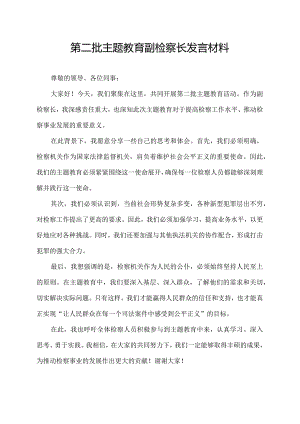 第二批主题教育副检察长发言材料.docx