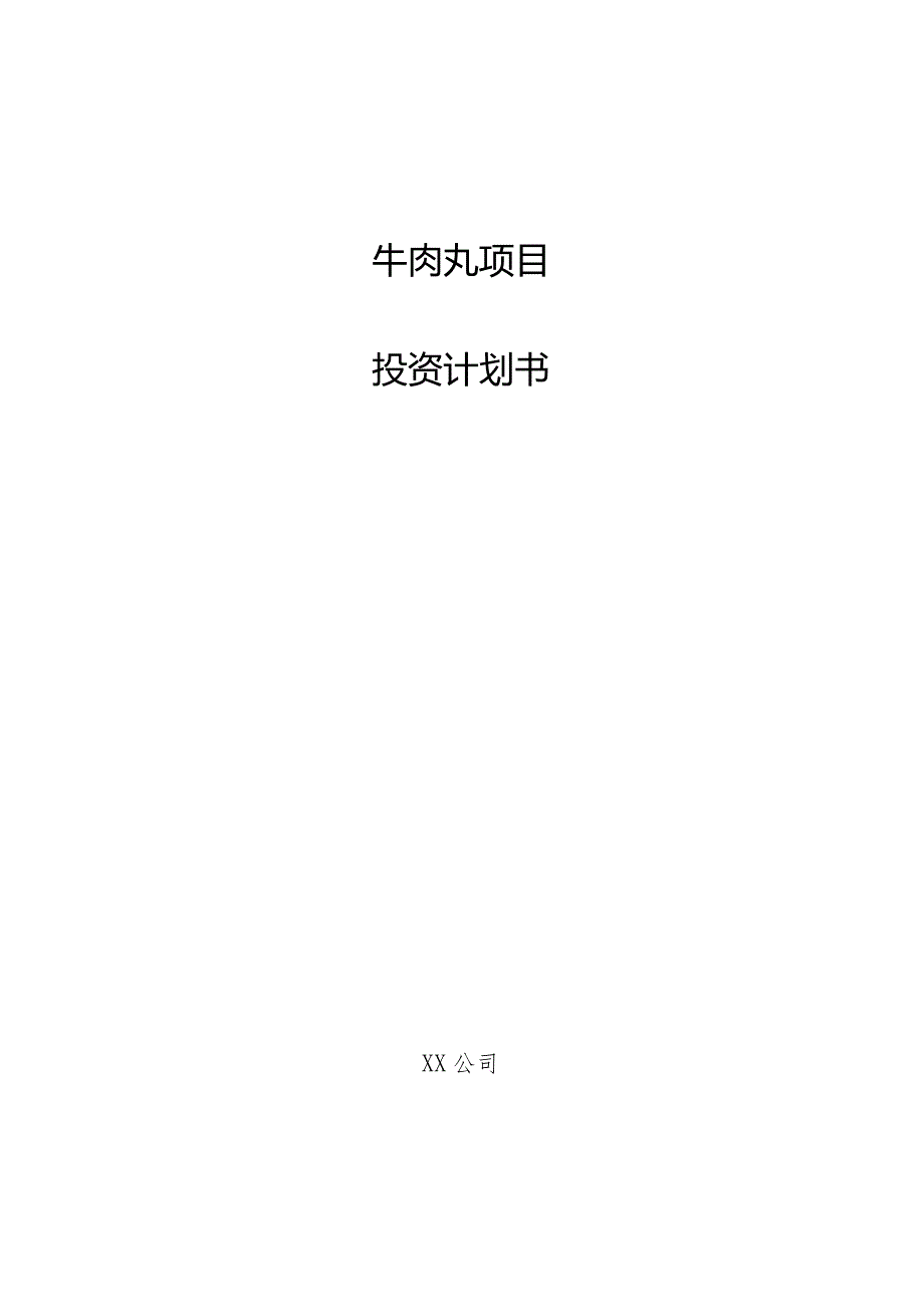 牛肉丸项目投资计划书.docx_第1页