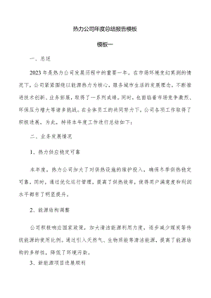 热力公司年度总结报告模板.docx