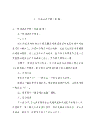 五一促销活动方案（30篇）.docx