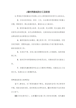 2篇村两委成员分工及职责.docx