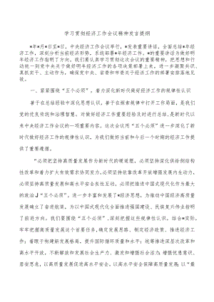 学习贯彻经济工作会议精神发言提纲.docx