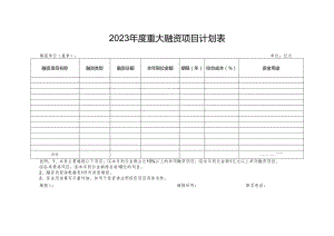 2023年度重大融资项目计划表.docx