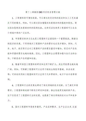 聚丁二烯橡胶（BR）项目财务管理方案.docx