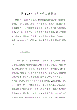 区2023年政务公开工作总结.docx