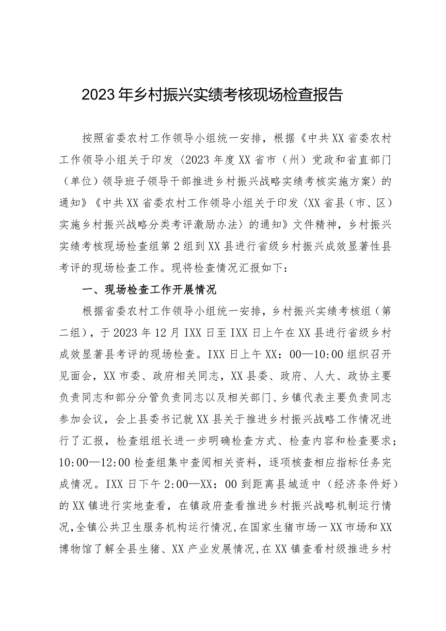 2023年乡村振兴实绩考核现场检查报告.docx_第1页