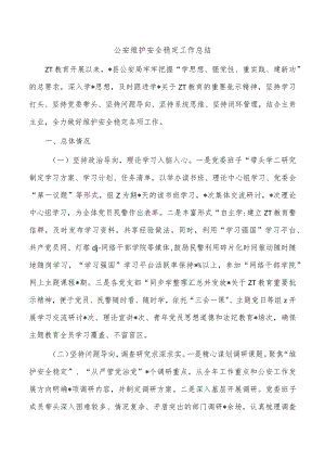 公安维护安全稳定工作总结.docx