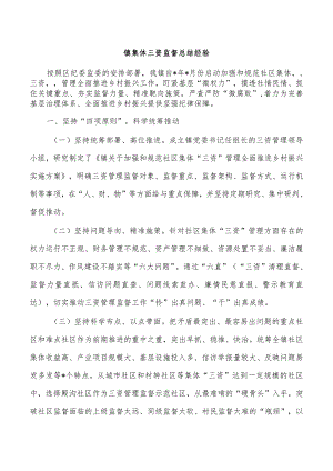 镇集体三资监督总结经验.docx