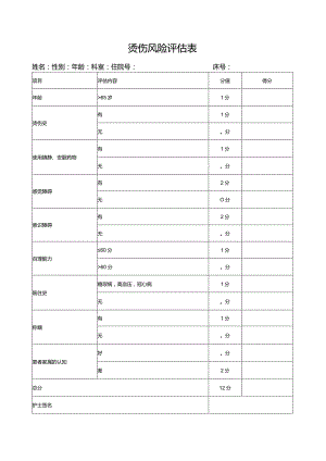 烫伤风险评估表..docx