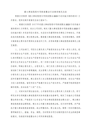 公司重大事故隐患专项排查整治行动推进情况总结.docx