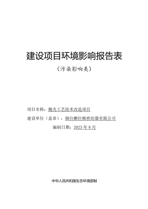 抛光工艺技术改造项目环评报告表.docx