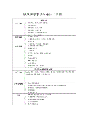 腋臭切除术诊疗路径.docx