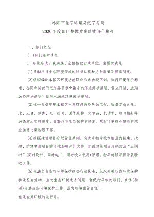 邵阳市生态环境局绥宁分局2020年度部门整体支出绩效评价报告.docx