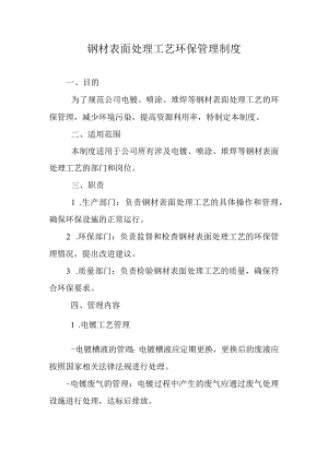 钢材表面处理工艺环保管理制度.docx