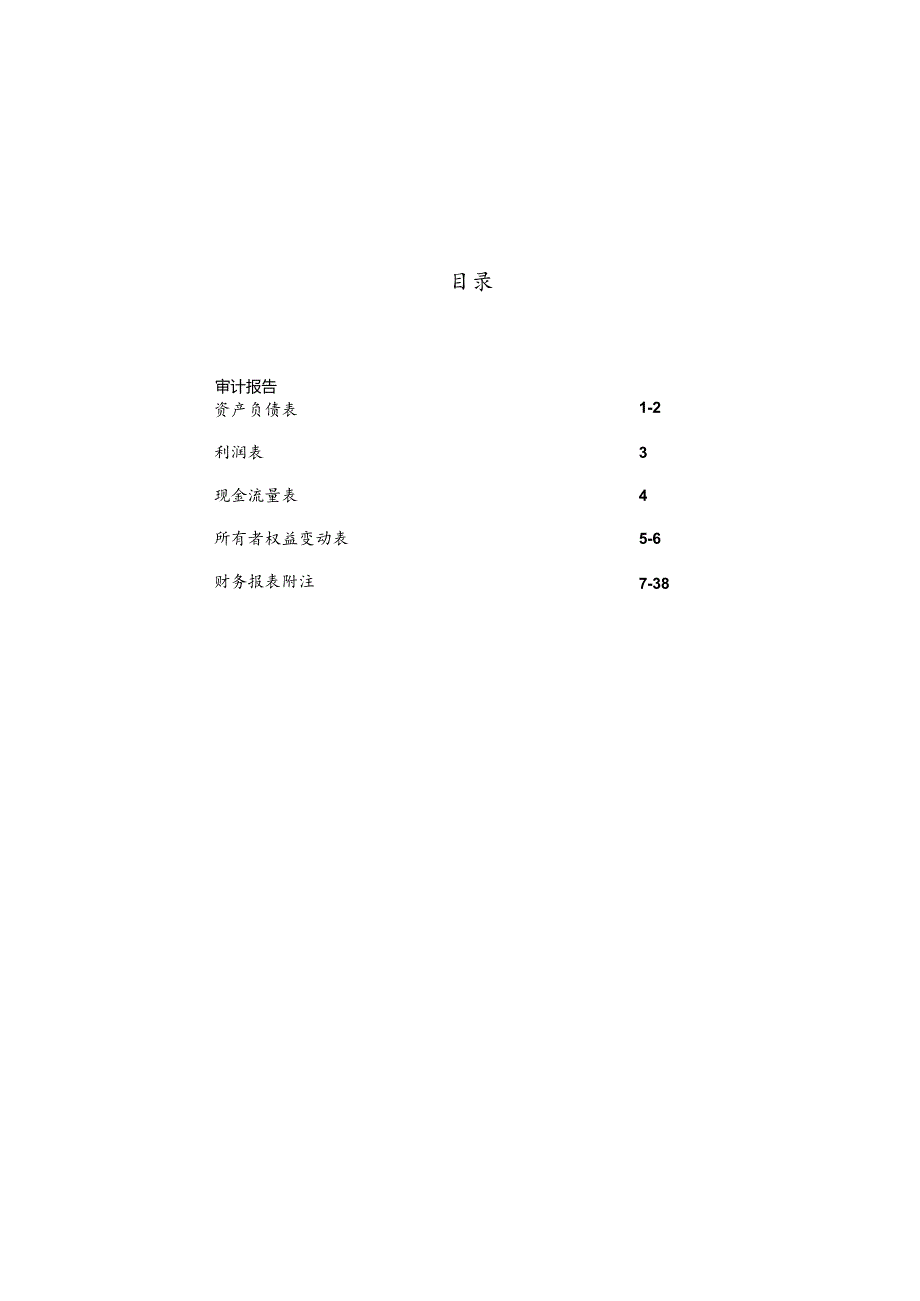 新大洲A：乌拉圭22厂审计报告.docx_第2页