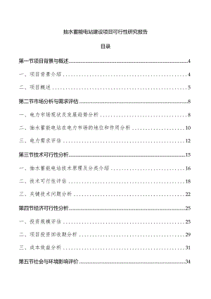 抽水蓄能电站建设项目可行性研究报告.docx