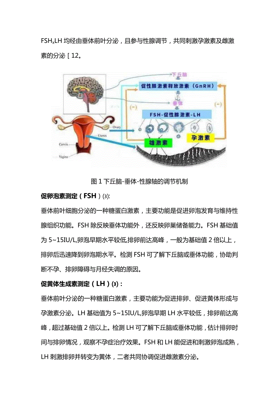 2024性激素检查及临床意义.docx_第2页