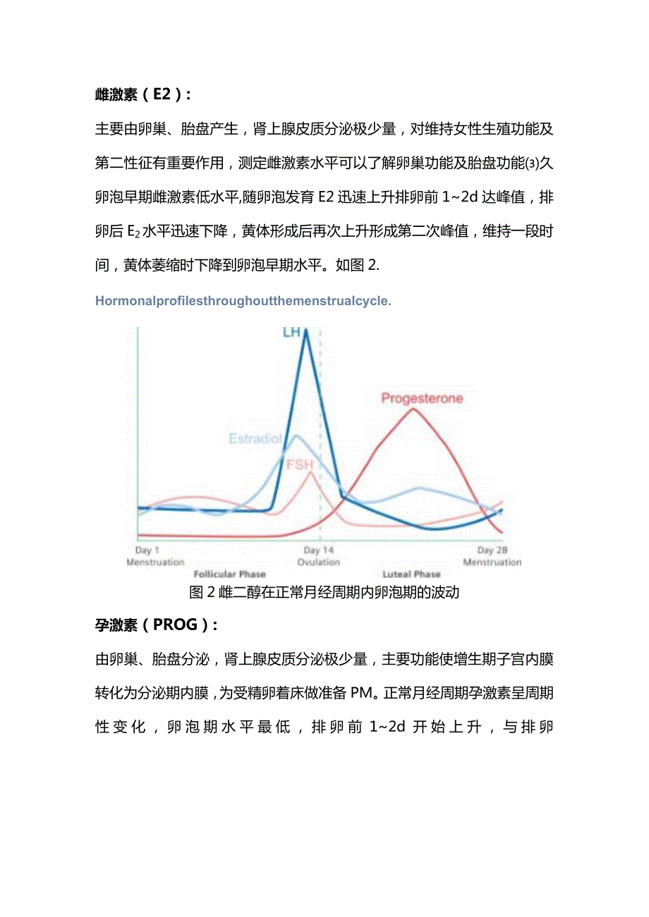 2024性激素检查及临床意义.docx_第3页