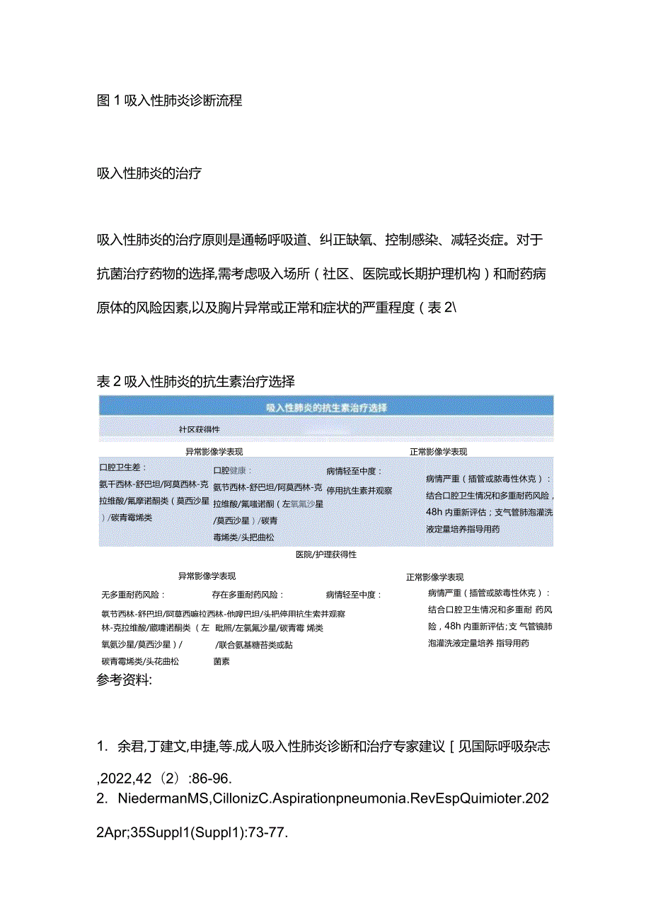 吸入性肺炎的危险因素及诊断和治疗策略2024.docx_第3页