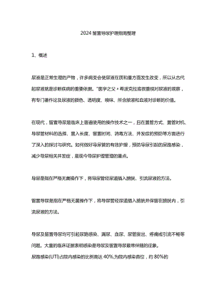 2024留置导尿护理指南整理.docx