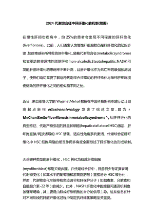 2024代谢综合征中肝纤维化的机制（附图）.docx