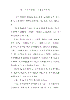 初一八百字作文—小兔子和妈妈.docx