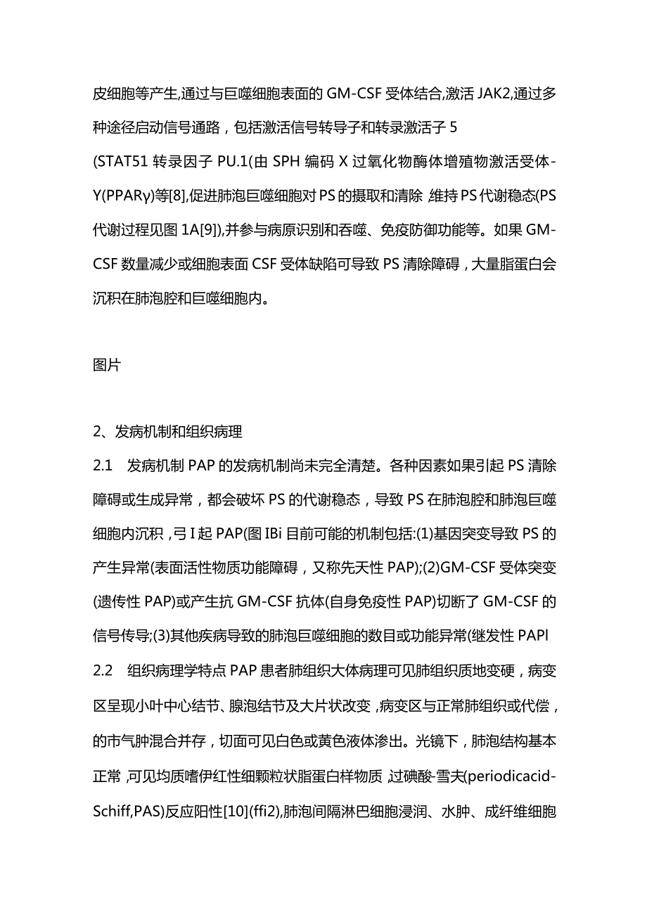 儿童肺泡蛋白沉积症的诊断与治疗专家建议2024.docx_第3页