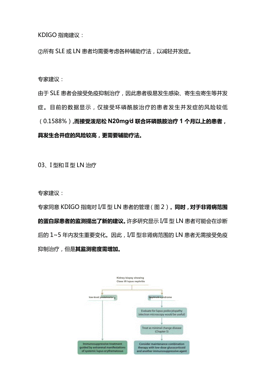 KDIGO肾小球疾病指南中狼疮肾炎的诊疗2024.docx_第3页