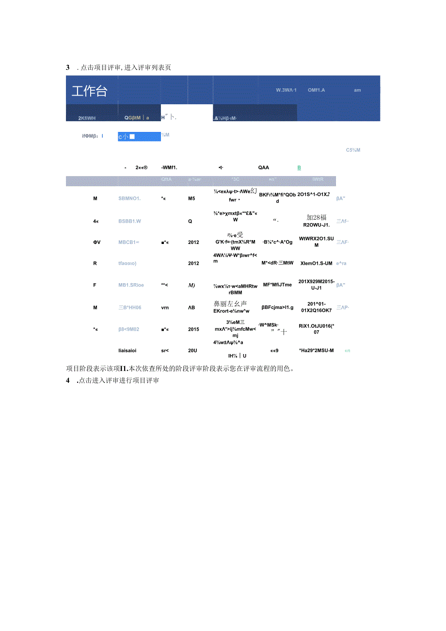 2-项目审核员使用手册..docx_第2页