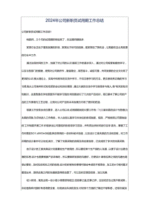 2024年公司新职员试用期工作总结.docx