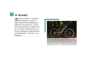 2024全球E-Bike市场洞察报告.docx