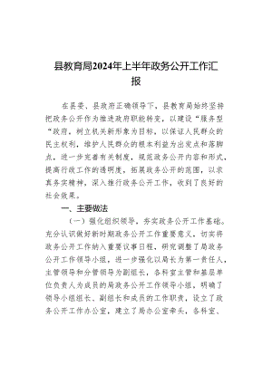 2024年上半年政务公开工作汇报总结报告局.docx