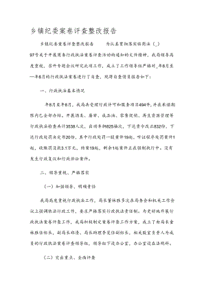 乡镇纪委案卷评查整改报告.docx