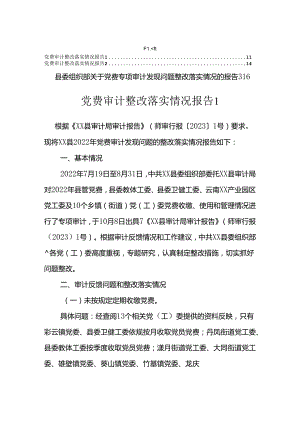 党费审计整改落实情况报告.docx