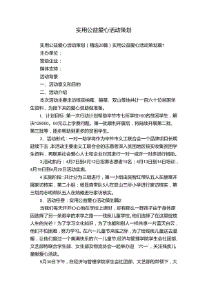 实用公益爱心活动策划.docx