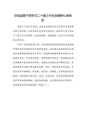 纪检监察干部学习二十届三中全会精神心得体会.docx