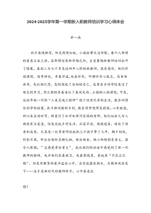 2024-2025学年第一学期新入职教师培训学习心得体会七篇.docx