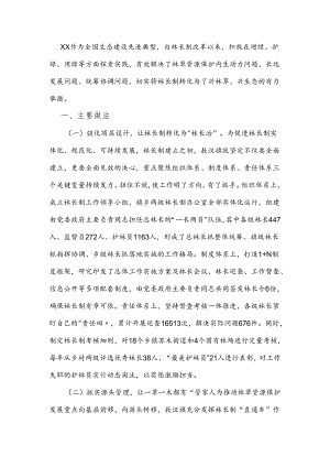 林长制经验做法及启示.docx