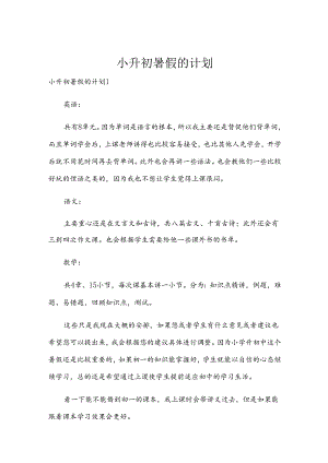 小升初暑假的计划.docx