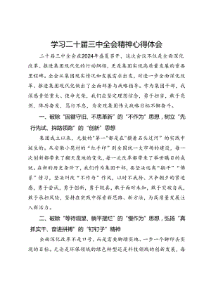 公司党员干部学习二十届三中全会精神心得体会.docx