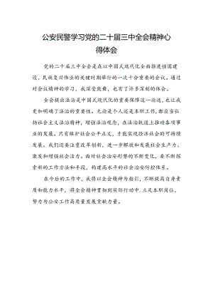 公安民警学习党的二十届三中全会精神心得体会范文.docx