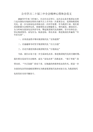 公司学习二十届三中全会精神心得体会范文.docx