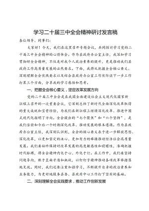 县政府办公室主任学习二十届三中全会精神研讨发言稿.docx