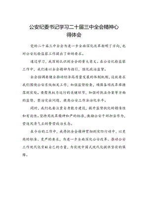 公安纪委书记学习二十届三中全会精神心得体会.docx