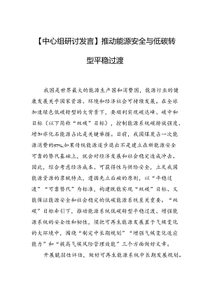 能源安全交流研讨：推动能源安全与低碳转型平稳过渡.docx