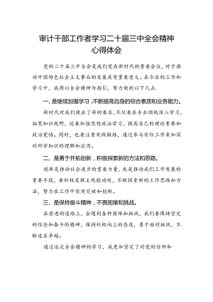 审计干部工作者学习二十届三中全会精神心得体会.docx